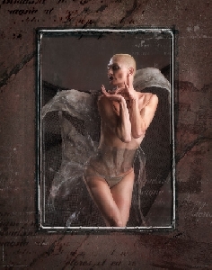 Lisa K. Lock presents <i>Fear of Falling</i>