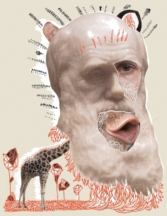 Darwinii